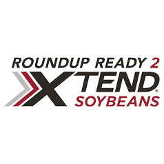Roundup Ready Xtend Soybeans