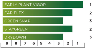 23 16 Plant Traits